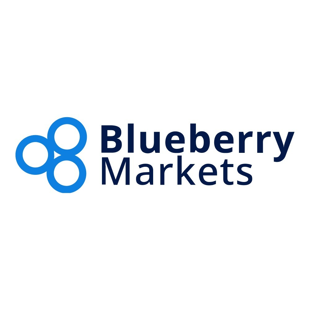 Blueberry Markets logo